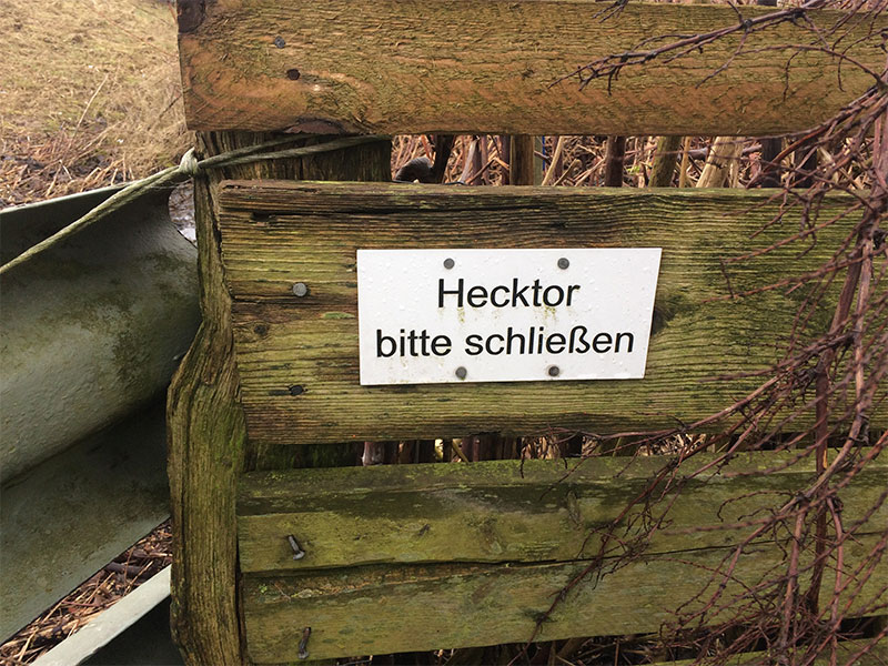 April – Gefunden in Dithmarschen