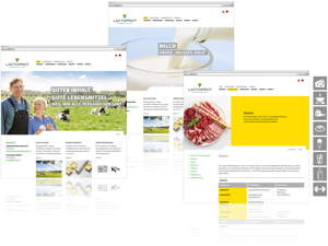 Website, Stern-Wywiol Gruppe