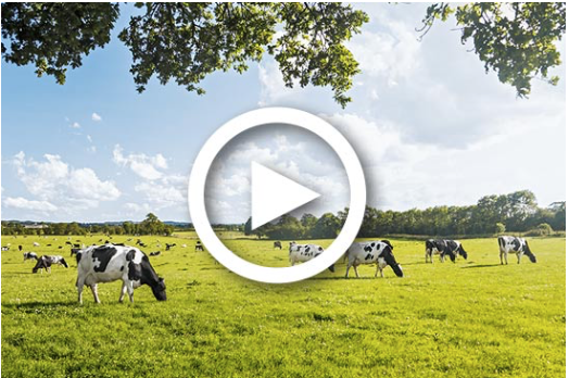 lactoprot-weg-der-milch